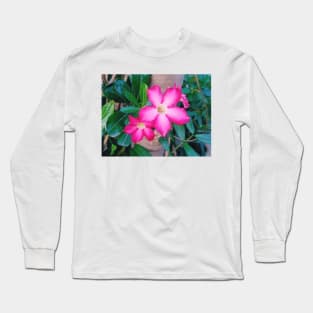 nature, flower, desert rose, adenium, plant, rose, adenium obesum, desert, plants, obesum, beautiful, succulent, tropical, vegan, roses Long Sleeve T-Shirt